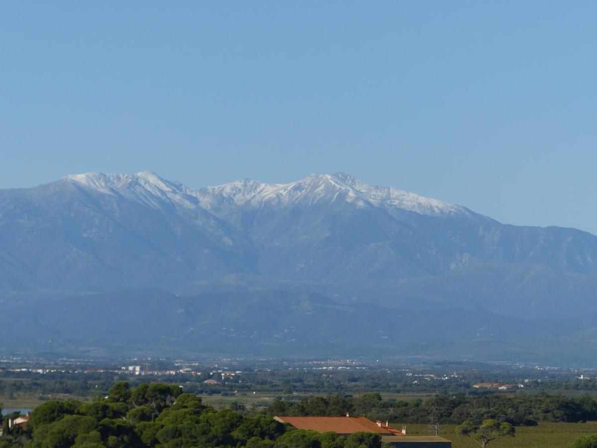 Albatros Appartement Canet-en-Roussillon Buitenkant foto